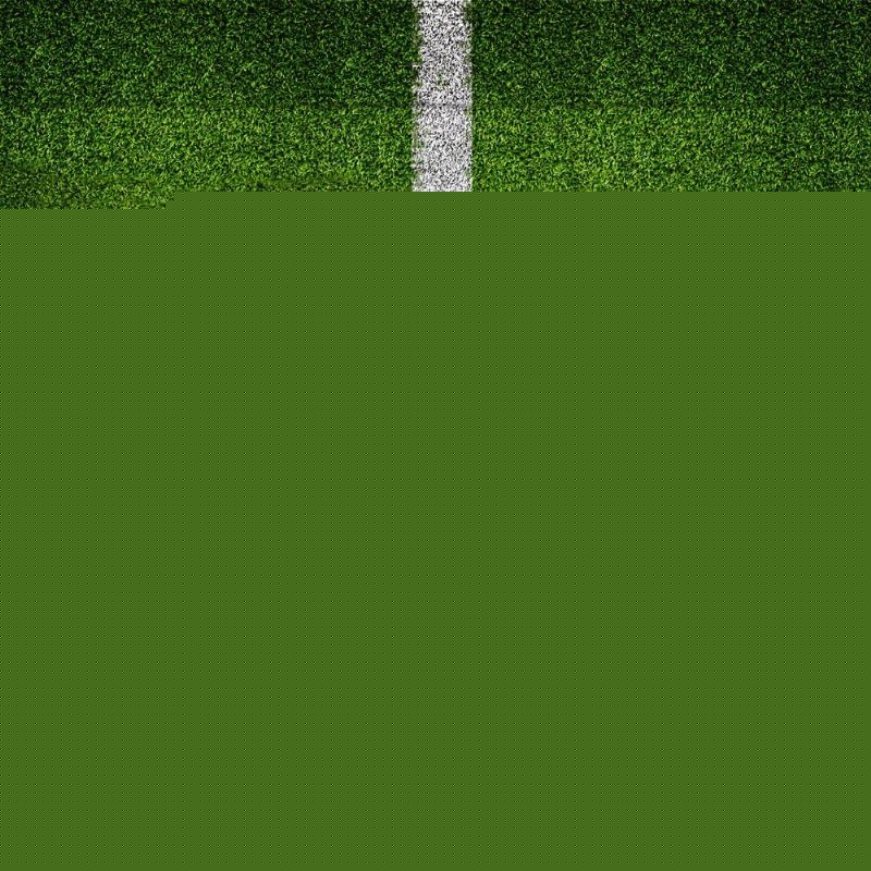 们充满信心 们充满信心