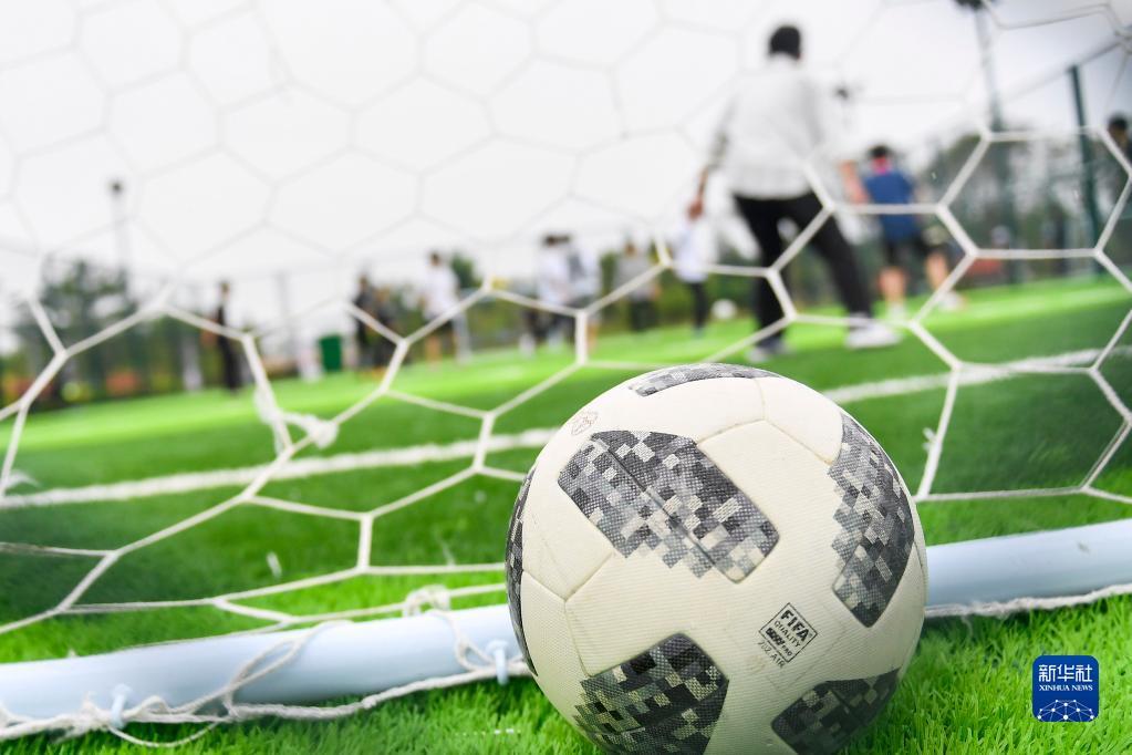 时显得力不 时显得力不