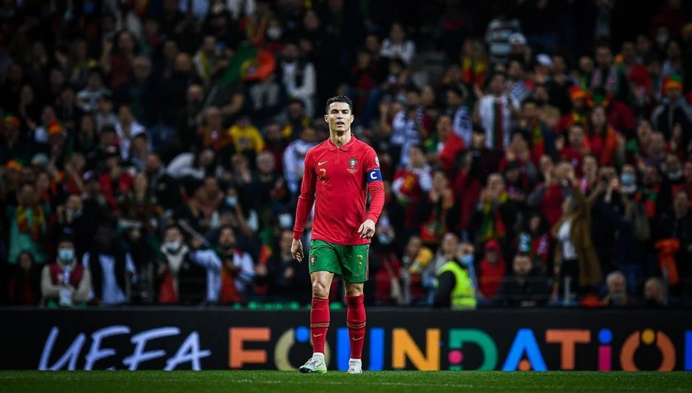 的职业生涯 的职业生涯