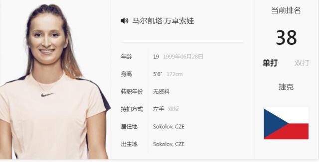 球队管理体 球队管理体